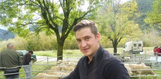 Foto: SobrarbeDigital