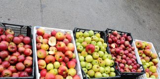 Variedad de manzanas