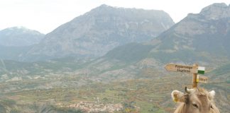 Al fondo Laspuña. Foto: SobrarbeDigital