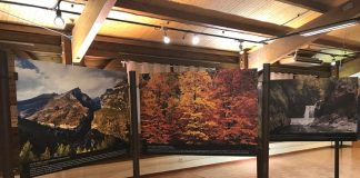 Imagen de la muestra. Foto: DGA