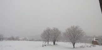Los Molinos esta mañana. Foto: Mar.