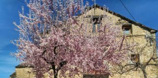 Foto. Ayuntamiento de Aínsa-Sobrarbe.