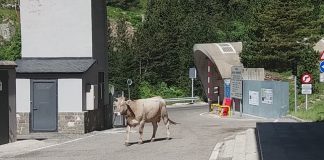 El Gobierno prorroga otros 14 días los controles en las fronteras terrestres con Francia