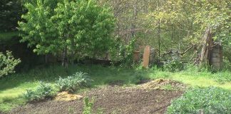 CHA reclama ampliar los supuestos en los que se autoriza a salir al huerto