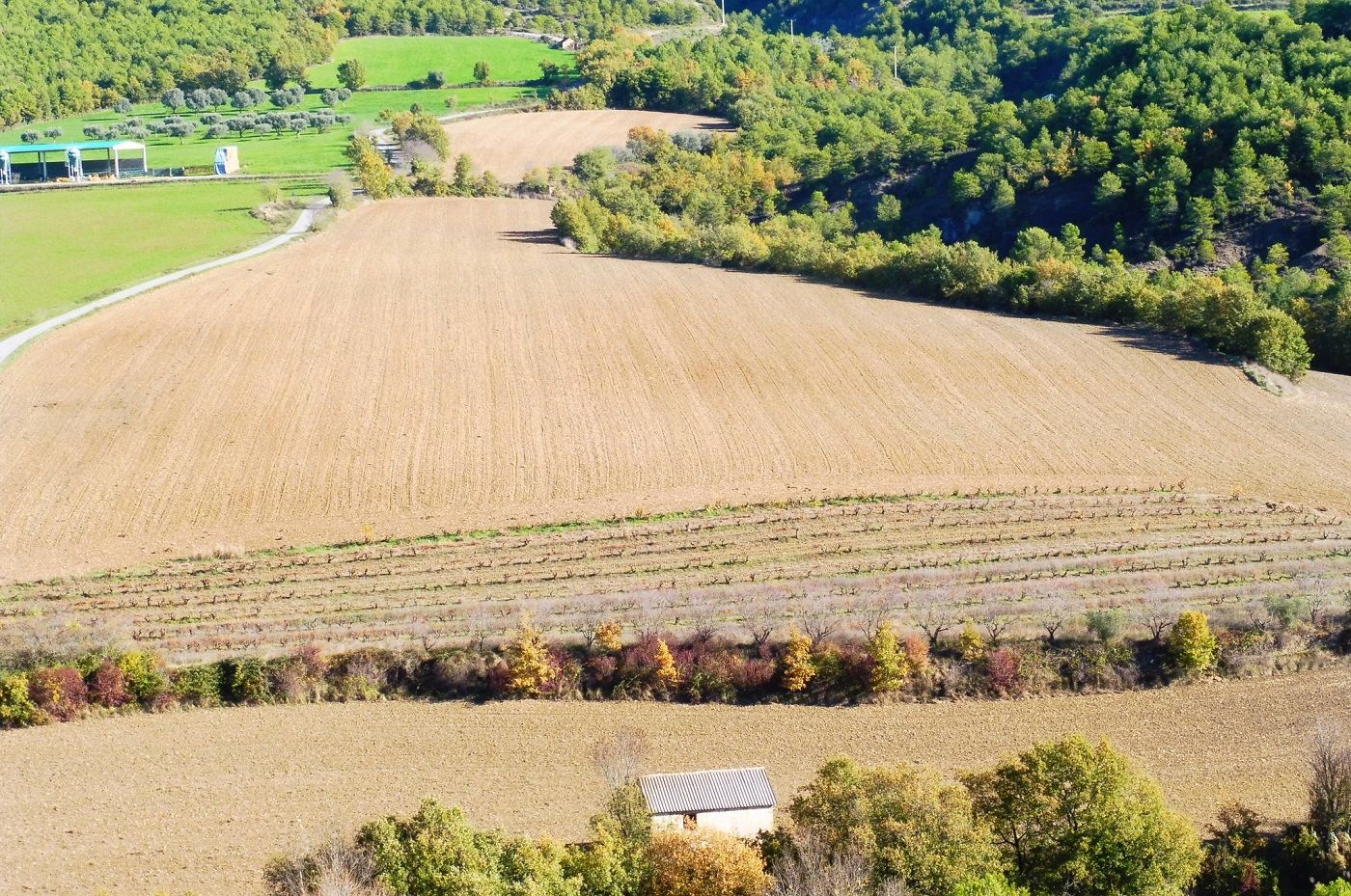 Cursos en línea sobre emprendimiento en el medio rural.