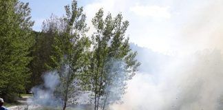 Pequeños conatos de incendios en Aínsa