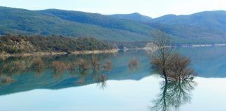 El embalse de Mediano roza el 81% de su capacidad