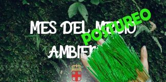 Greenwashing municipal