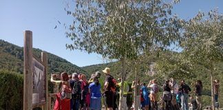 Entre las aves, por la Sierra de Partara