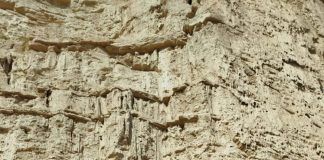 Los bomberos rescatan a un perro enriscado a 40 metros en las Ripas de Alcolea