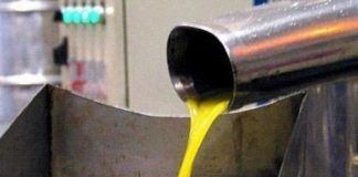 La UE concede la DOP al Aceite del Somontano