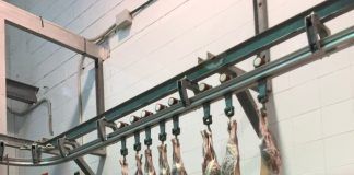 El matadero de Aínsa consigue la cifra más alta de canales sacrificados en 2025 (Audio)