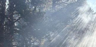 El incendio de Plan continúa su evolución favorable