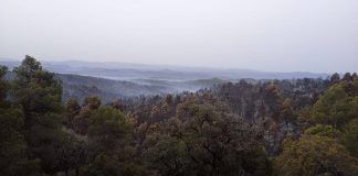 El perímetro del incendio de La Cerollera permanece estable y reabren la TE-53