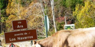 La DPH adjudica el acondicionamiento de la pista de Bujaruelo, una actuación histórica para el valle de Broto