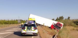 Detienen en Zaidín al conductor de un camión que septuplicaba la tasa de alcohol