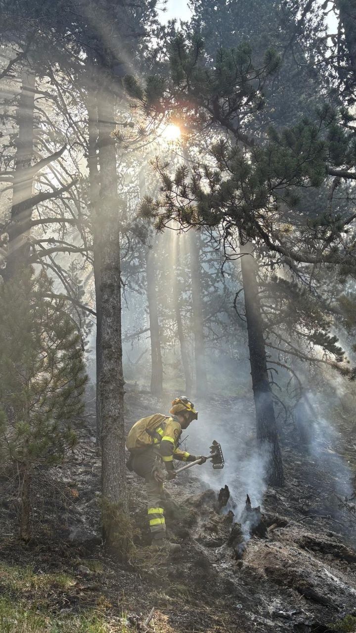 incendio Plan 19 julio dos