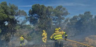 Los incendios forestales de Loporzano y Leciñena quedan controlados