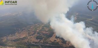 Incendio forestal en La Cerollera, en Bajo Aragón (Vídeo)
