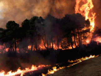 Incendios Forestales 2026