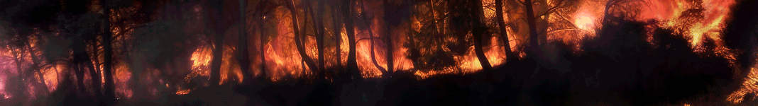 Incendios Forestales 2026