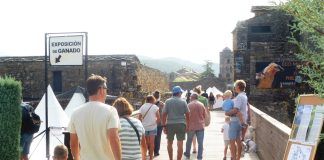 La Expoferia de Sobrarbe agota el aforo de las actividades vinculadas al sector ganadero