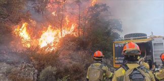 Aragón convoca ayudas por 550.000 euros para compensar a las explotaciones ganaderas afectadas por los incendios