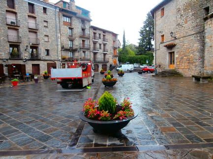 boltana_plaza_poniendo_flores_uno