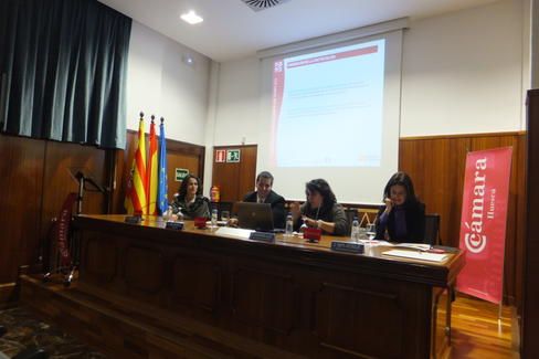 camara_en_huesca_feb_0
