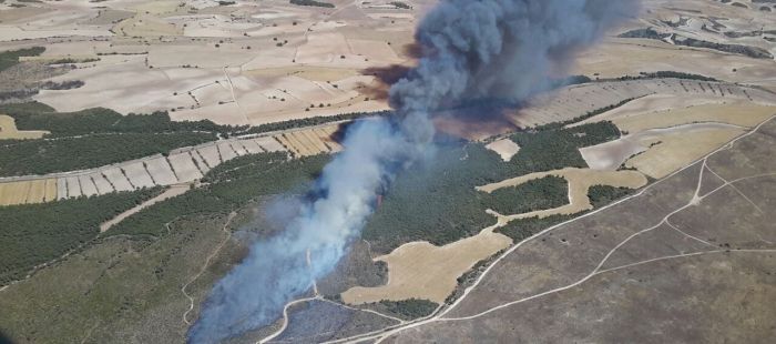 incendio_campo_san_gregorio_foto_dga_0