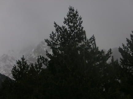 paisaje_feb_2016