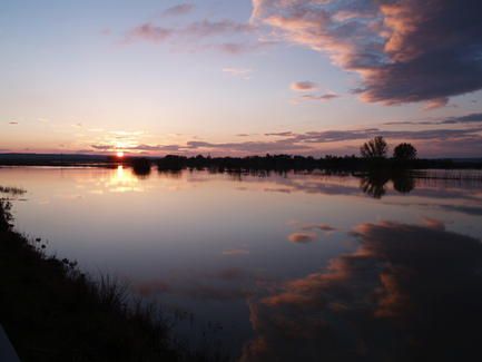 pina_de_ebro