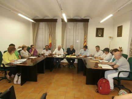 pleno_ainsa_2_julio