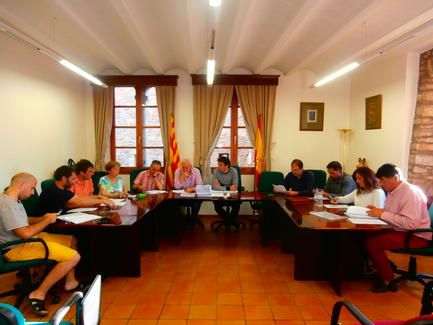 pleno_ainsa_8_junio_2016