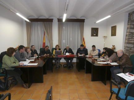 pleno_ainsa_marzo_0