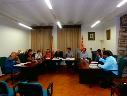 pleno_ainsa_septiembre_2015