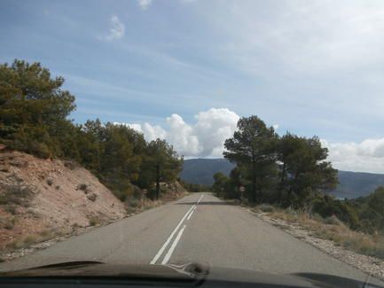 puerto_pino